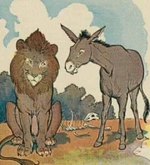 DON'T ARGUE WITH DONKEYS (Fable)